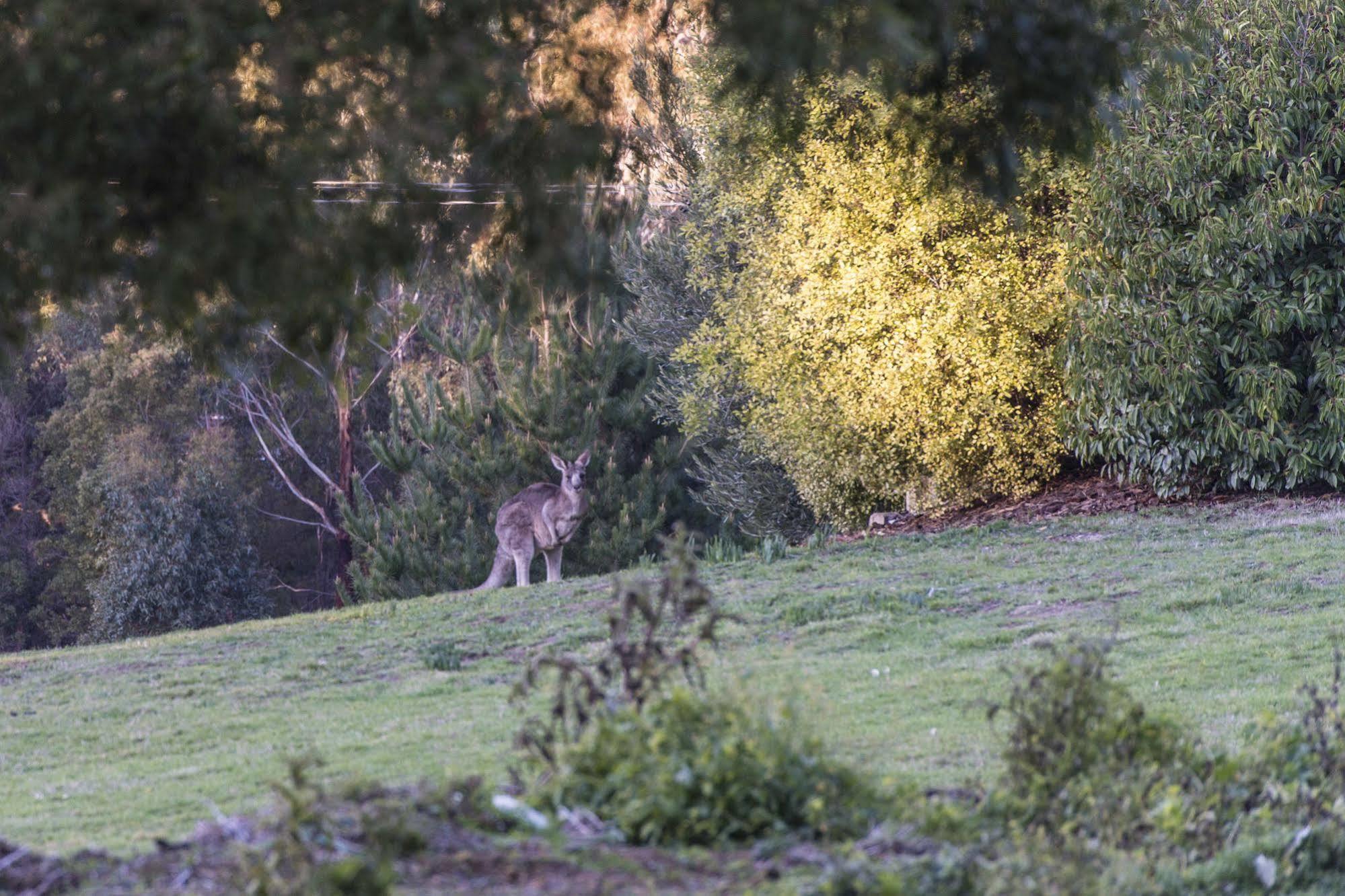 Macedon Ranges Hotel & Spa Esterno foto